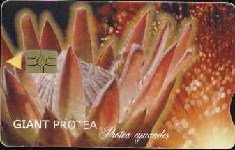 vergr��ern mit Mausklick