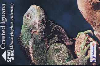 vergr��ern mit Mausklick