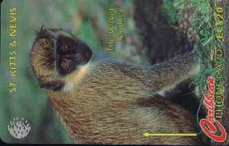 vergr��ern mit Mausklick