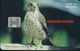 vergr��ern mit Mausklick