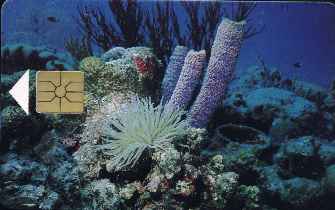 vergrern mit Mausklick