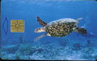 vergrern mit Mausklick