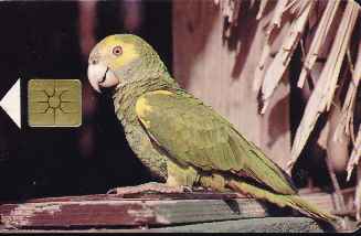 vergrern mit Mausklick