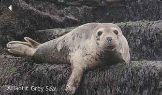 vergrern mit Mausklick
