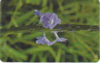 vergr��ern mit Mausklick