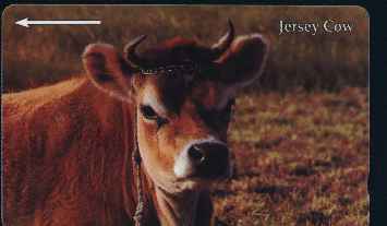 vergrern mit Mausklick