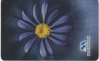 vergr��ern mit Mausklick