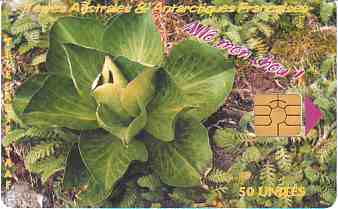 vergrern mit Mausklick