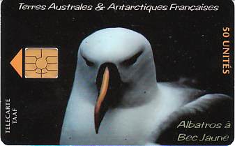 vergrern mit Mausklick