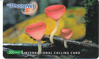 vergrern mit Mausklick