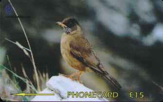 vergrern mit Mausklick