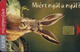 vergrern mit Mausklick