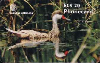 vergrern mit Mausklick