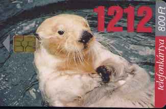 vergrern mit Mausklick