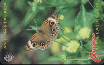 vergrern mit Mausklick