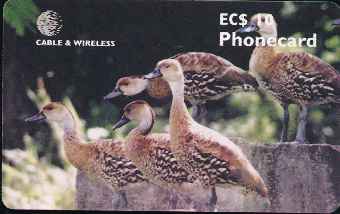 vergrern mit Mausklick