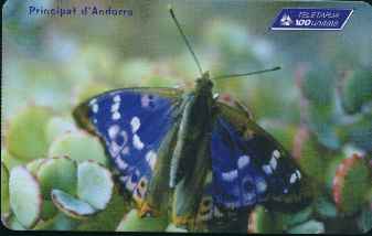 vergrern mit Mausklick