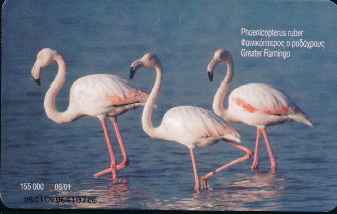 vergrern mit Mausklick