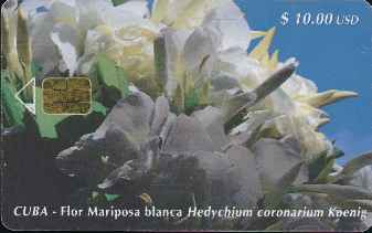 vergrern mit Mausklick