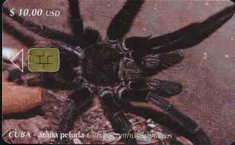 vergrern mit Mausklick