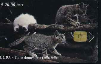 vergrern mit Mausklick