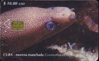 vergrern mit Mausklick