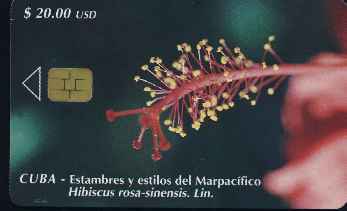 vergrern mit Mausklick