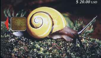 vergrern mit Mausklick