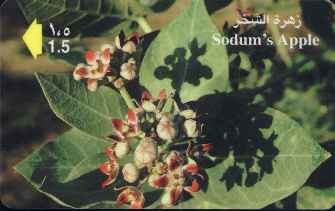 vergrern mit Mausklick