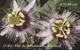 vergrern mit Mausklick