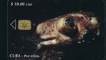 vergrern mit Mausklick