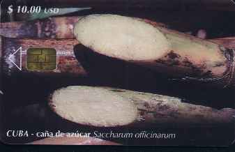 vergrern mit Mausklick