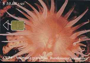 vergrern mit Mausklick