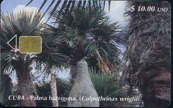 vergrern mit Mausklick