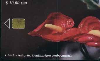 vergrern mit Mausklick