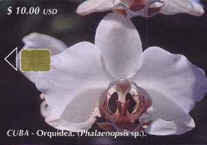 vergrern mit Mausklick