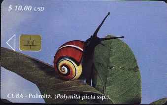 vergrern mit Mausklick