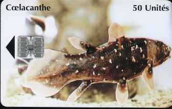 vergrern mit Mausklick