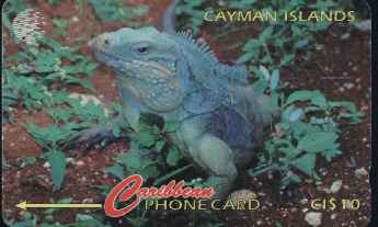 vergr��ern mit Mausklick