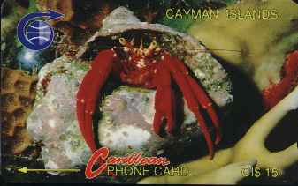 vergr��ern mit Mausklick