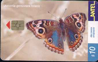 vergr��ern mit Mausklick