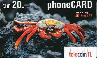 vergr��ern mit Mausklick