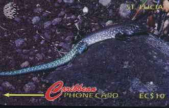 vergr��ern mit Mausklick