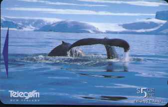 vergr��ern mit Mausklick