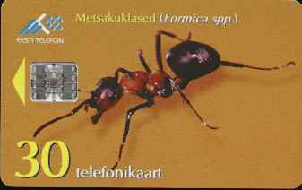 vergr��ern mit Mausklick