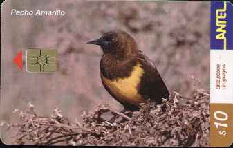 vergr��ern mit Mausklick