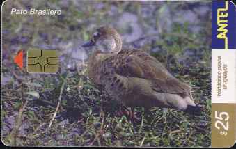 vergr��ern mit Mausklick