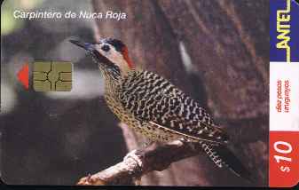 vergr��ern mit Mausklick