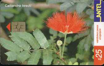 vergr��ern mit Mausklick