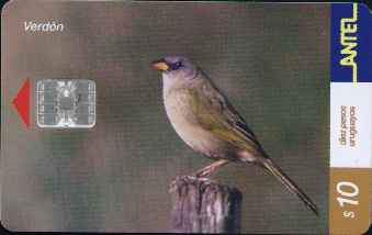 vergr��ern mit Mausklick